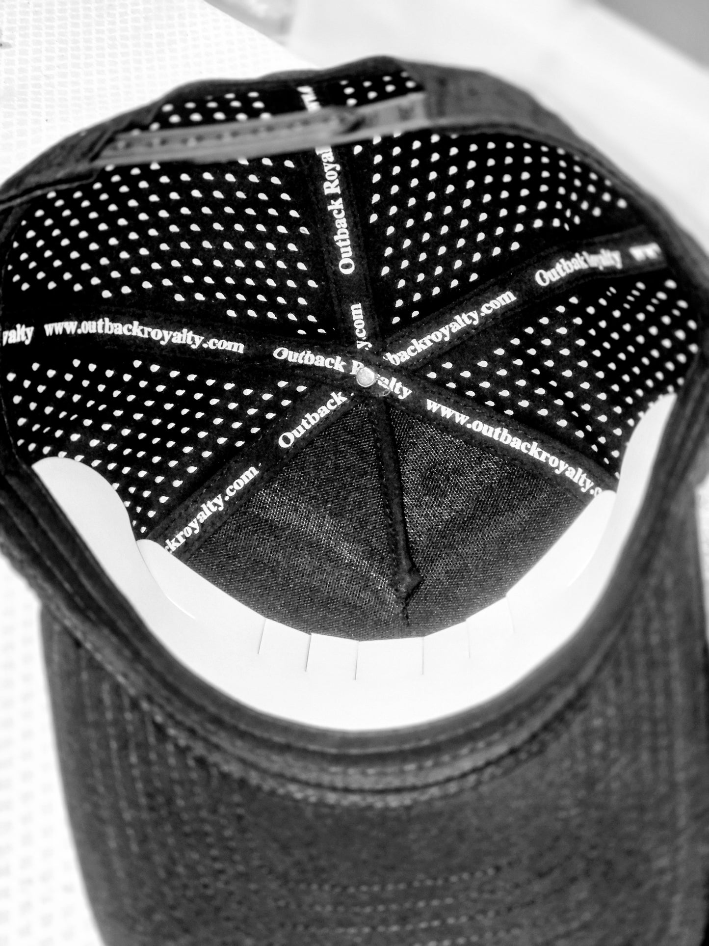 Raw Power | Five Panal Cap